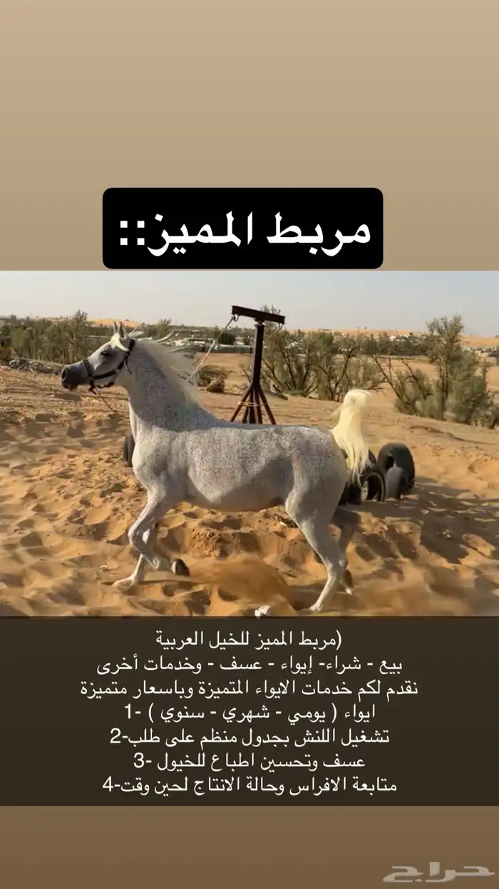 مربط المميز للأيواء 0