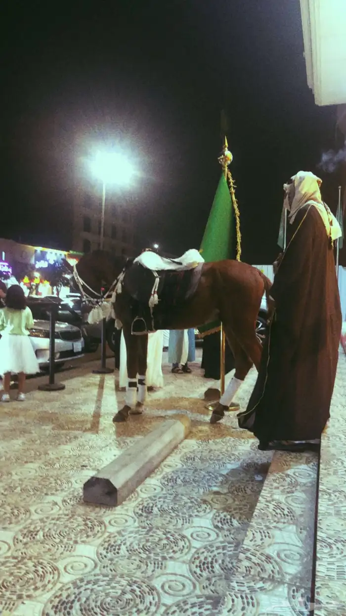 ايجار بوني سيسي خيل جمل لليوم الوطني 10