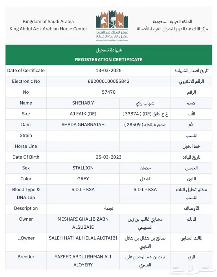 حصان واهو طيب 8