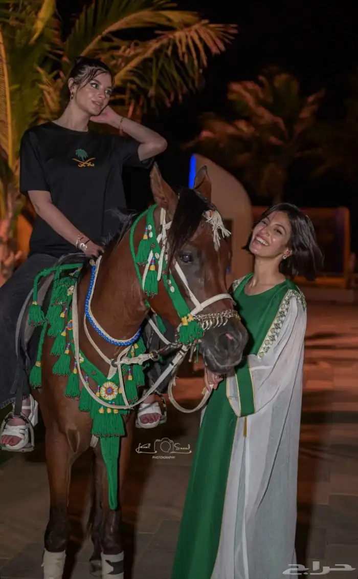 ايجار بوني سيسي خيل جمل لليوم الوطني 1