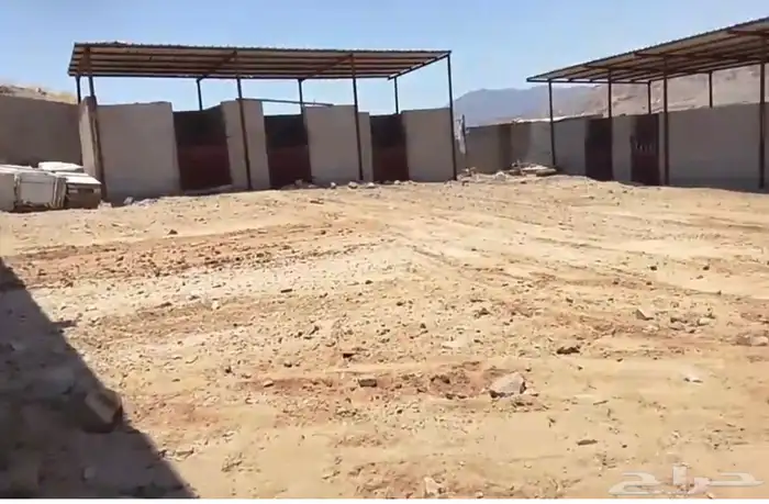 اسطبل خيل للايجار 2