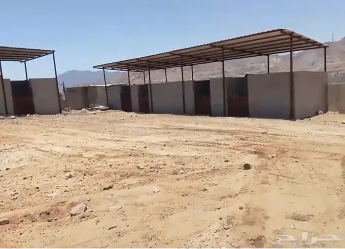 اسطبل خيل للايجار 1