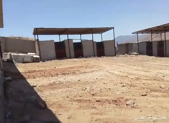 اسطبل خيل للايجار 0