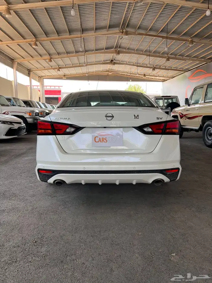 التيماء نص فل لون لؤلوي 3