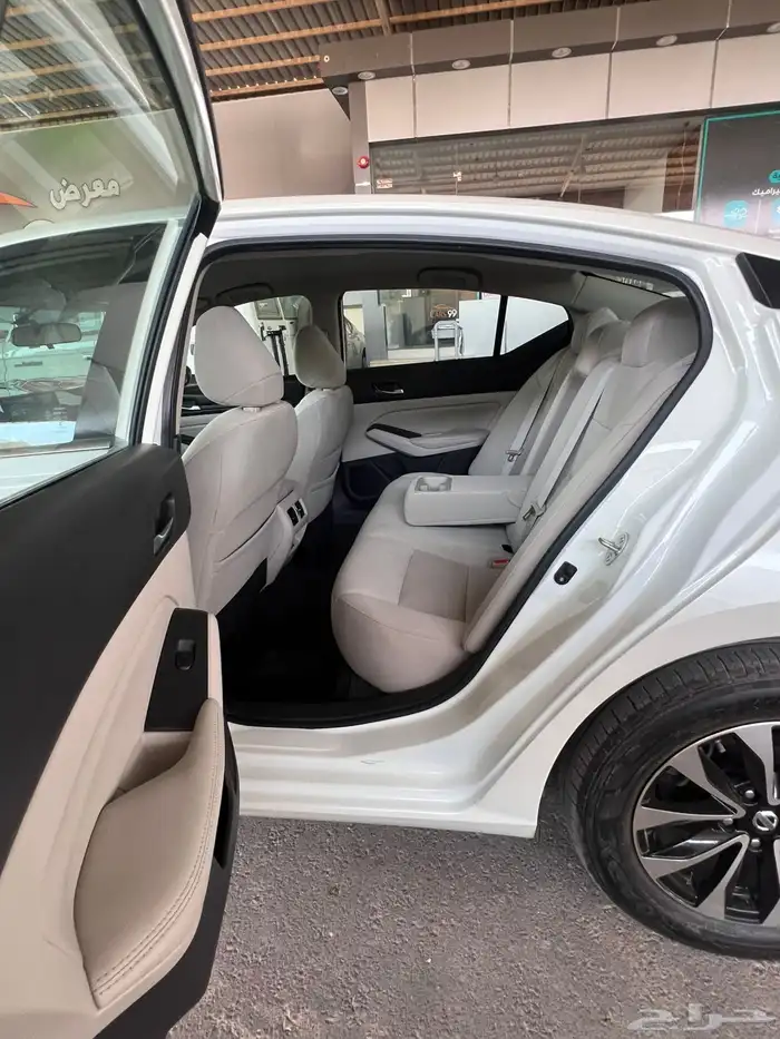 التيماء ستاندر لؤلوي 3