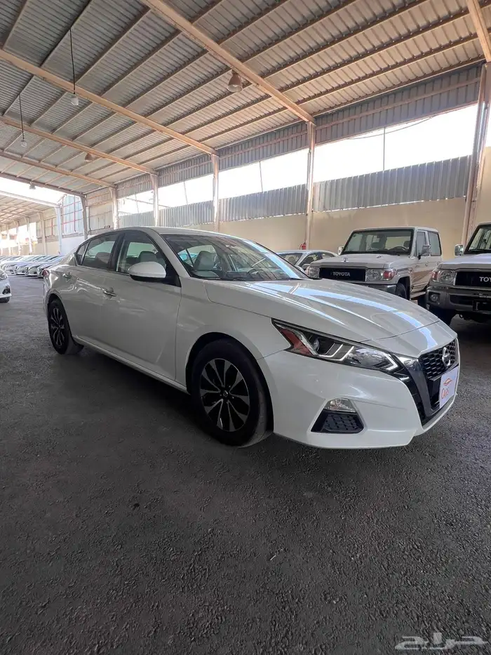 التيماء ستاندر لؤلوي 2