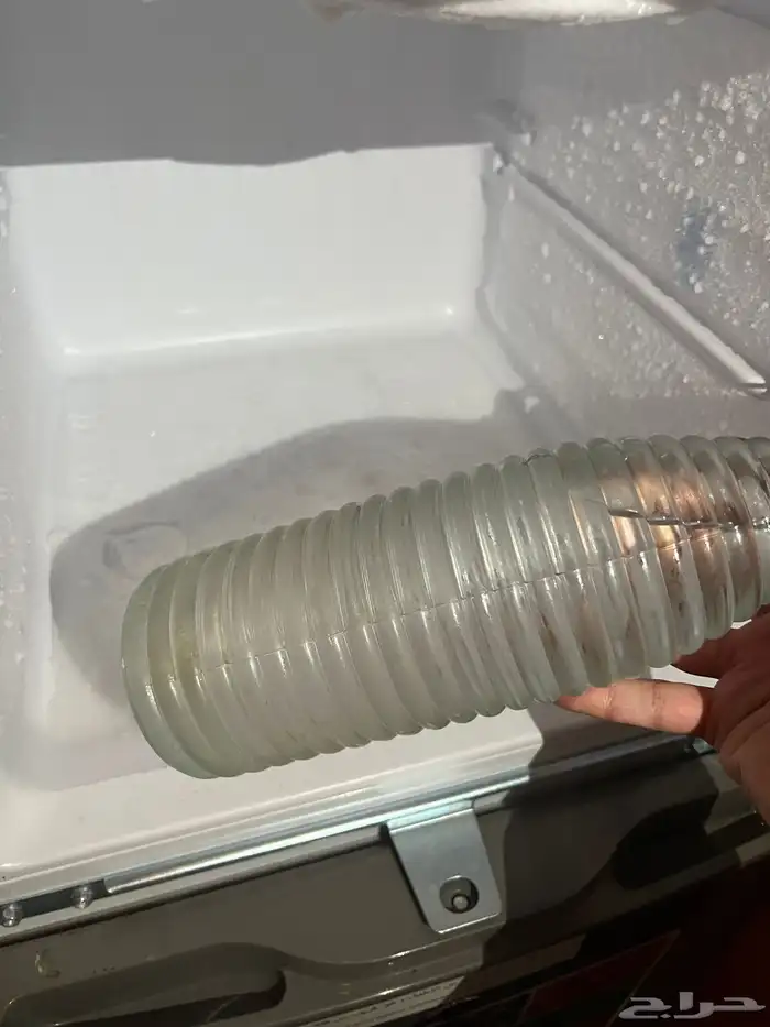 كوفي للتقبيل فردي تم بيع كل الاغراض 15