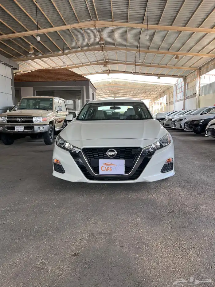 التيماء ستاندر لؤلوي 0