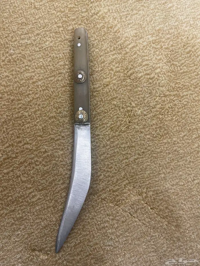 جنبيه للبيع 3