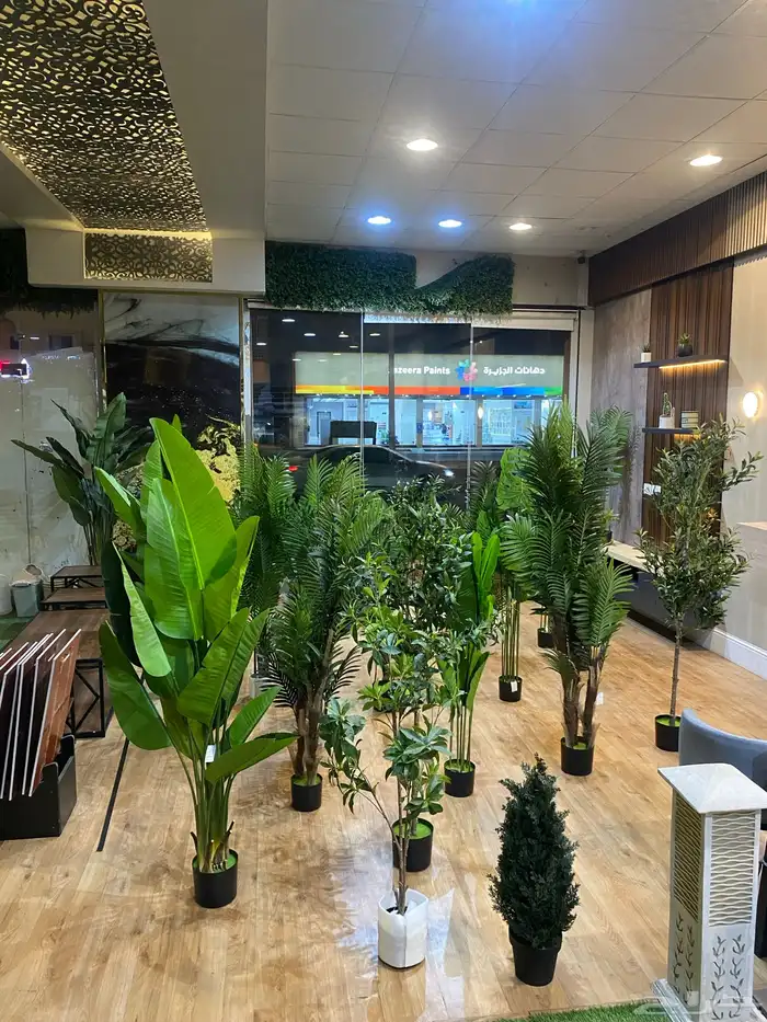 أشجار عرض اليوم الوطني 95 11