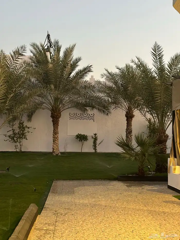 مجالس للاجار اليومي للمناسبات الدمام الفرسان 5