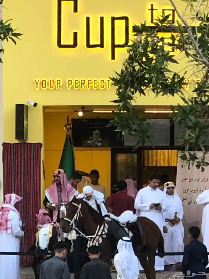 ايجار بوني سيسي خيل جمل لليوم الوطني 8