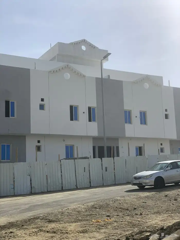 دهان مصري 13