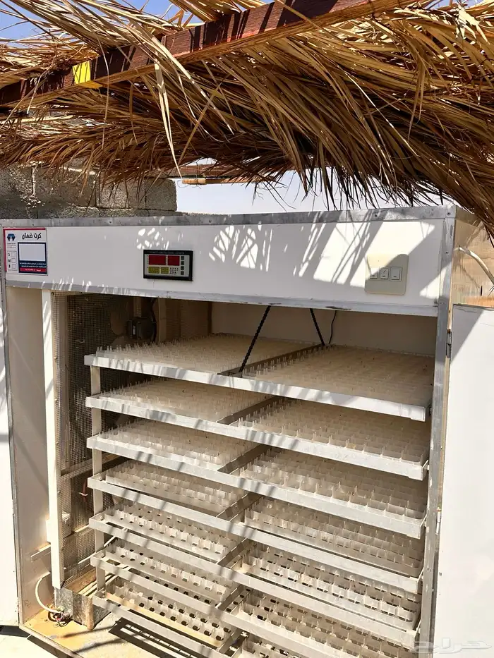 فقاسة سعة 2464 بيضة توماتيك 2