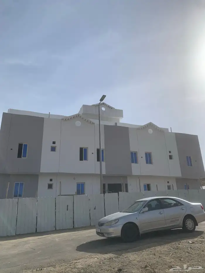 دهان مصري 11