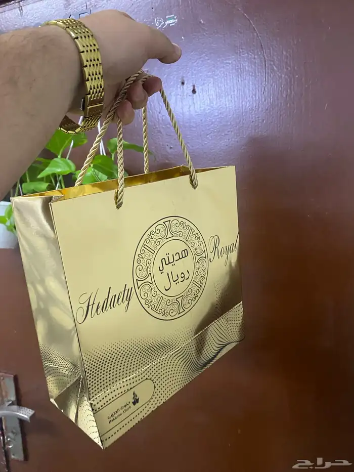 تأسيس الافكار 5