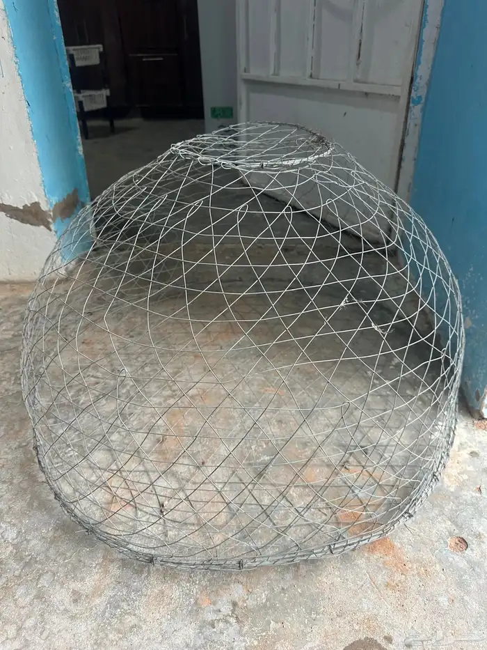 شبوك طيور البيع جميع 1