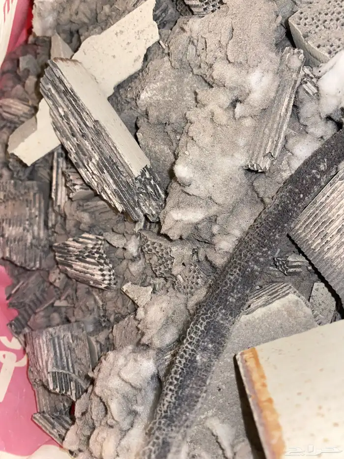 رصاص الانترا 2017 1