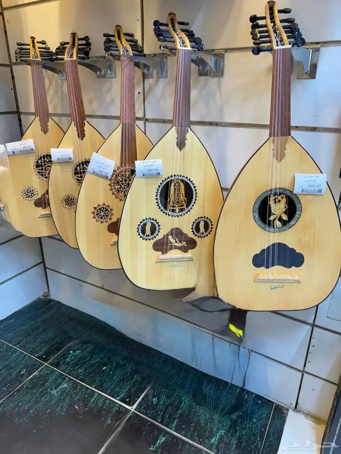 عود مصري - للمبتدئين 0