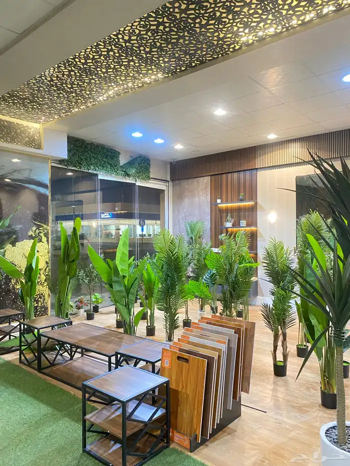 أشجار عرض اليوم الوطني 95 13