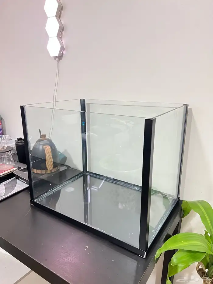 للبيع حوض سمك 2
