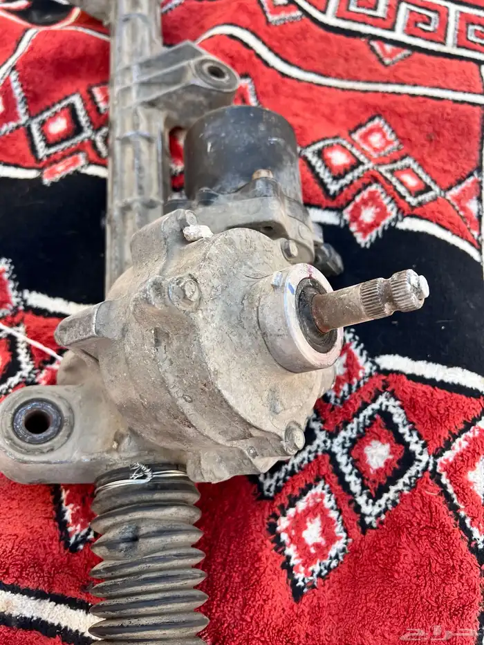 دودة اكورد 1