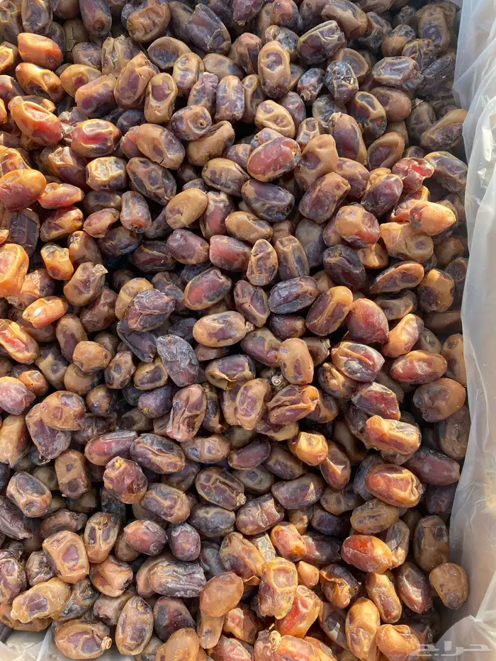 تمر خلاص انتاج القطيف 0