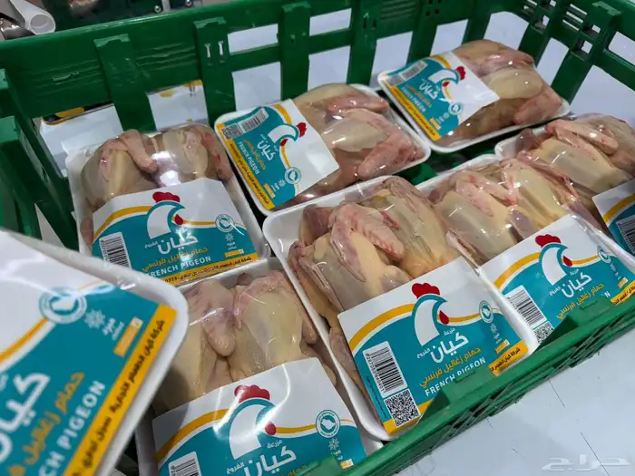دجاج طازج وحمام فرنسي طازج 1
