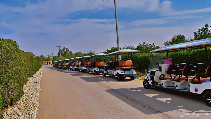 جولف قولف ايجار تاجير قولف كار golf car غولف كار للإيجار 3