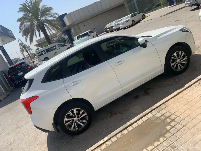 هافال جوليان شرط 10