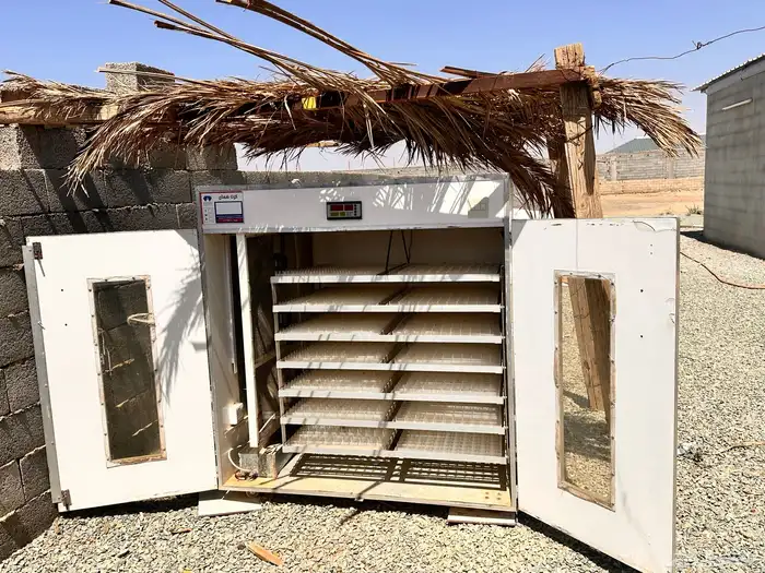 فقاسة سعة 2464 بيضة توماتيك 4