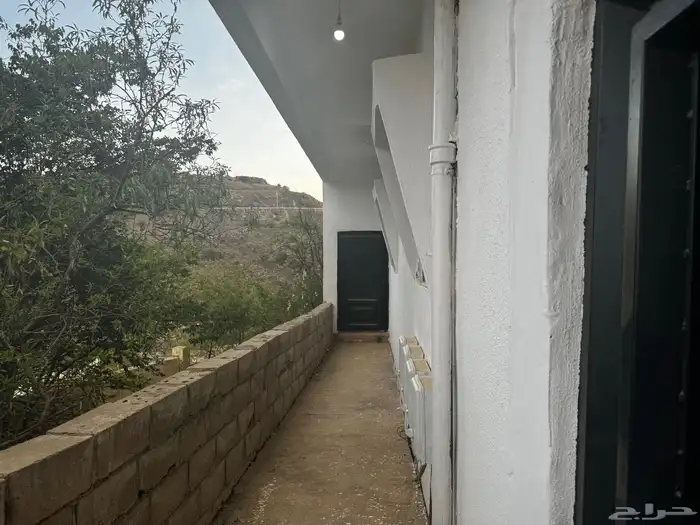 أي جا ر بي ت 44