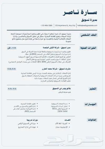 تصميم سيرة ذاتية (CV) احترافية ATS 0