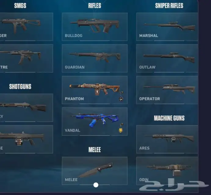 حساب فالورانت فخم بسعر رخيص مضمون 0