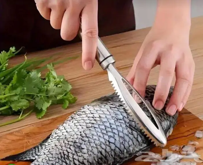 سمك بلطي مزارع 2