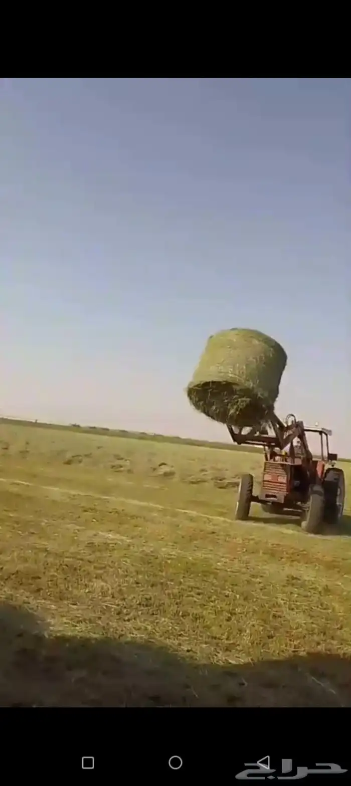 لفان رودس البيع 1