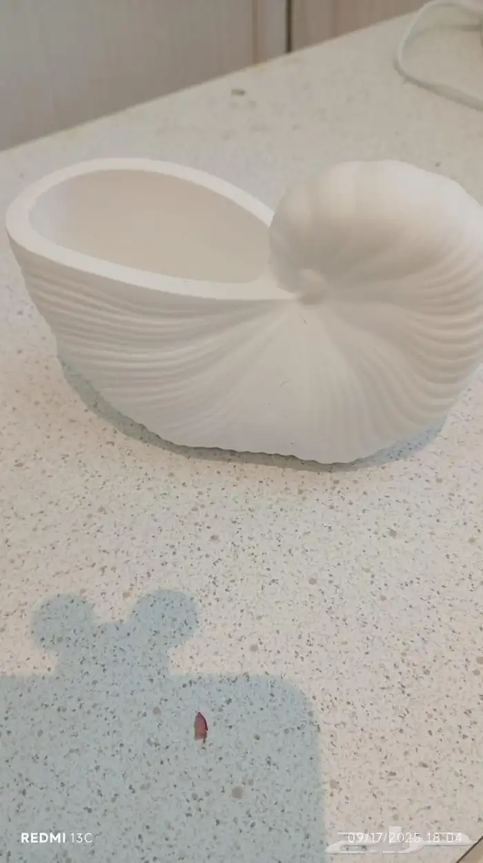 تحف اي قطعه ريال وريالين 56