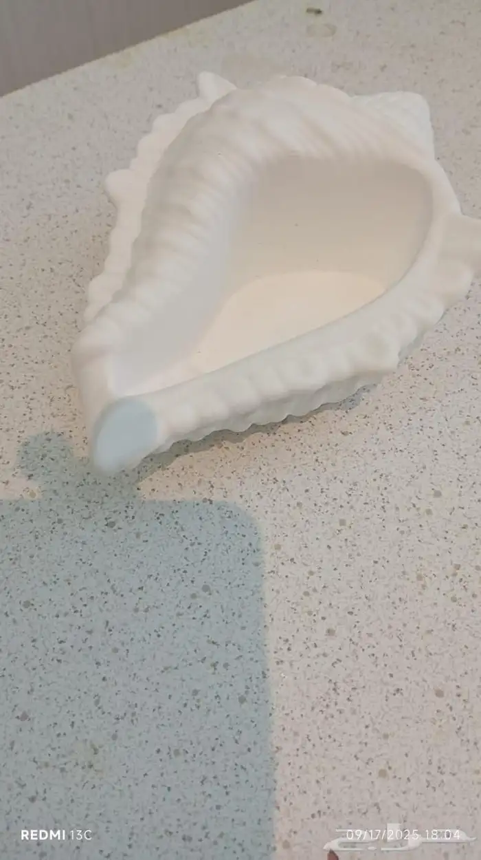 تحف اي قطعه ريال وريالين 57