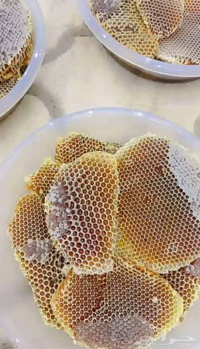 عسل طلح محايل 0