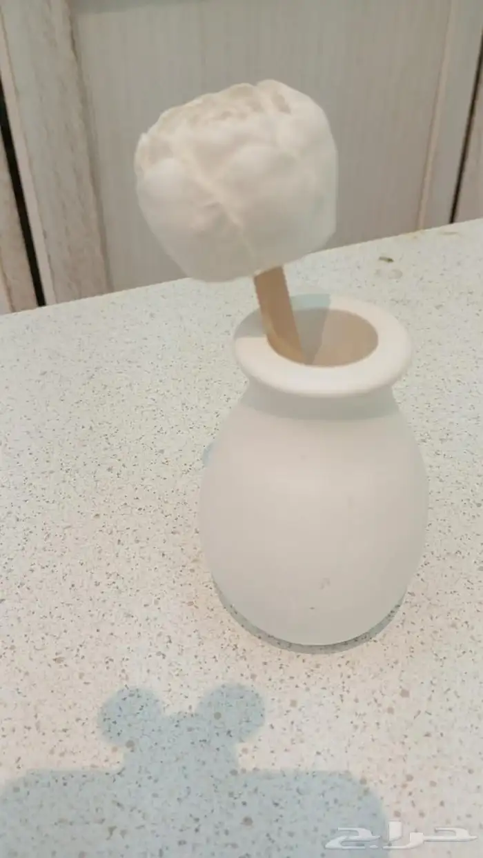 تحف اي قطعه ريال وريالين 49