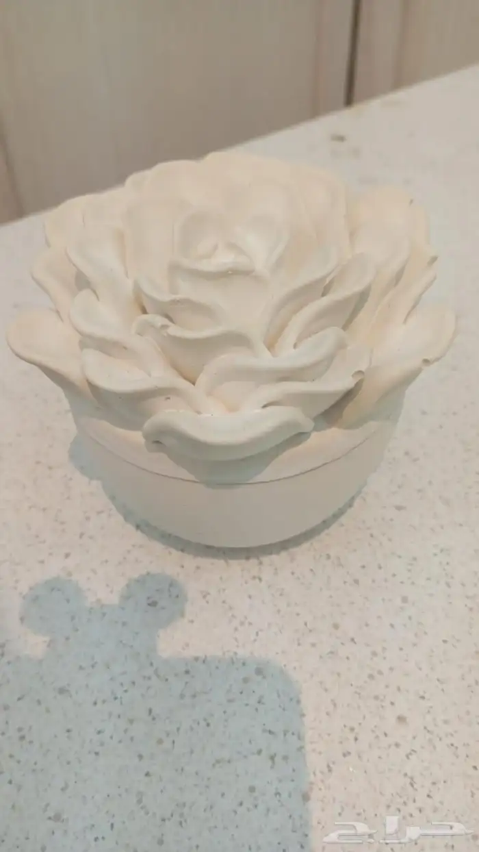 تحف اي قطعه ريال وريالين 48