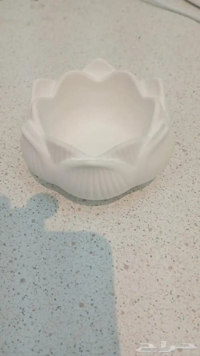 تحف اي قطعه ريال وريالين 54