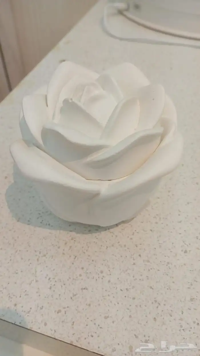 تحف اي قطعه ريال وريالين 47