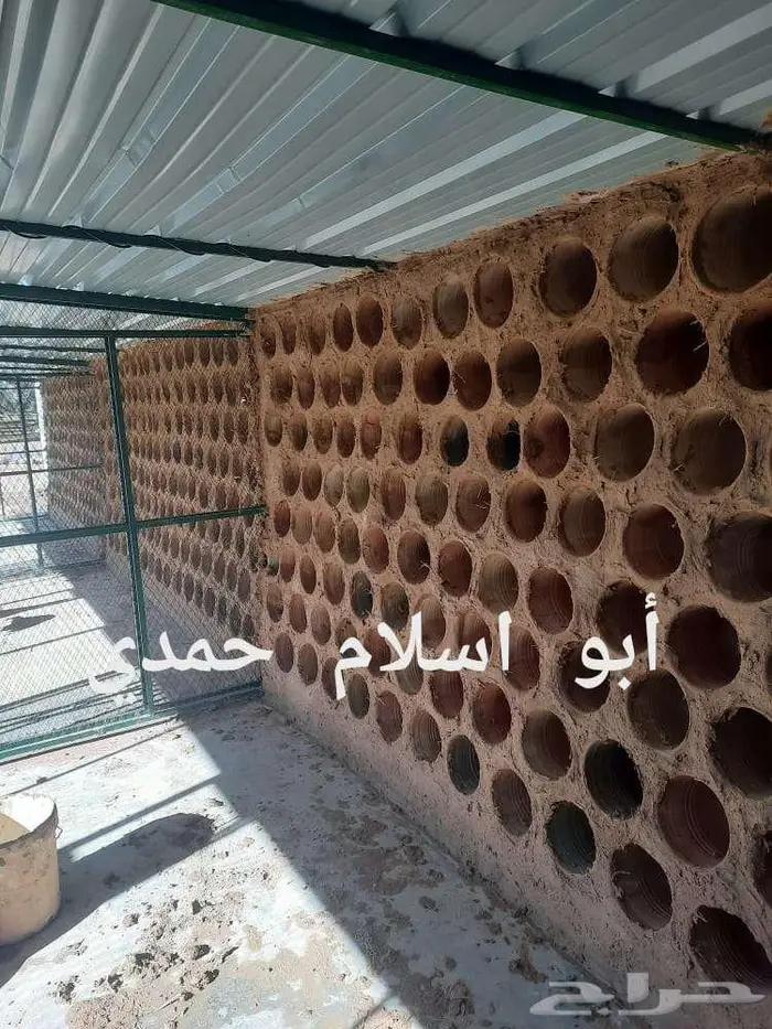 الرياض الخرج المنصورة 9