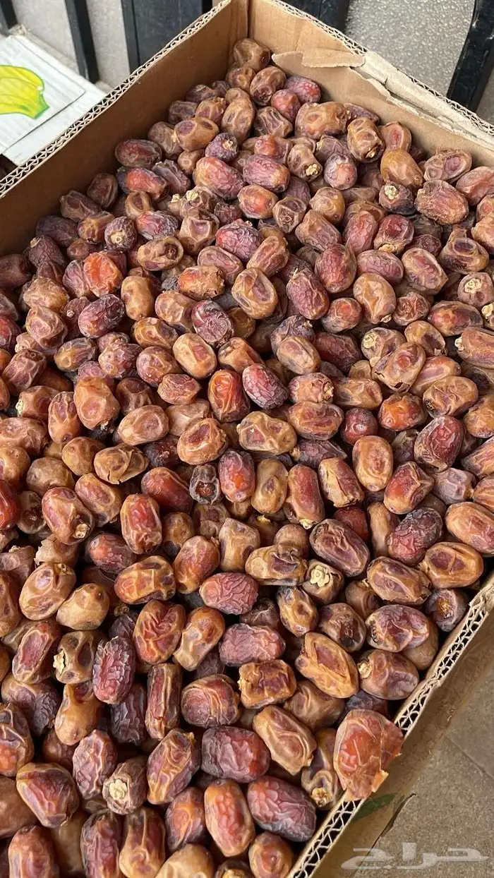 تمر للبيع وادي الدواسر 1