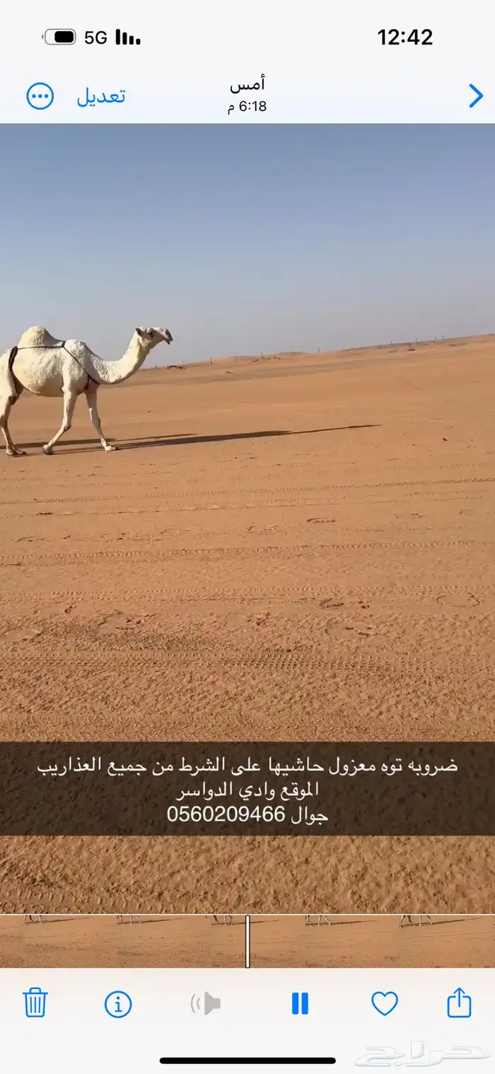 ضروبه توه معزول ولدها شرط 1