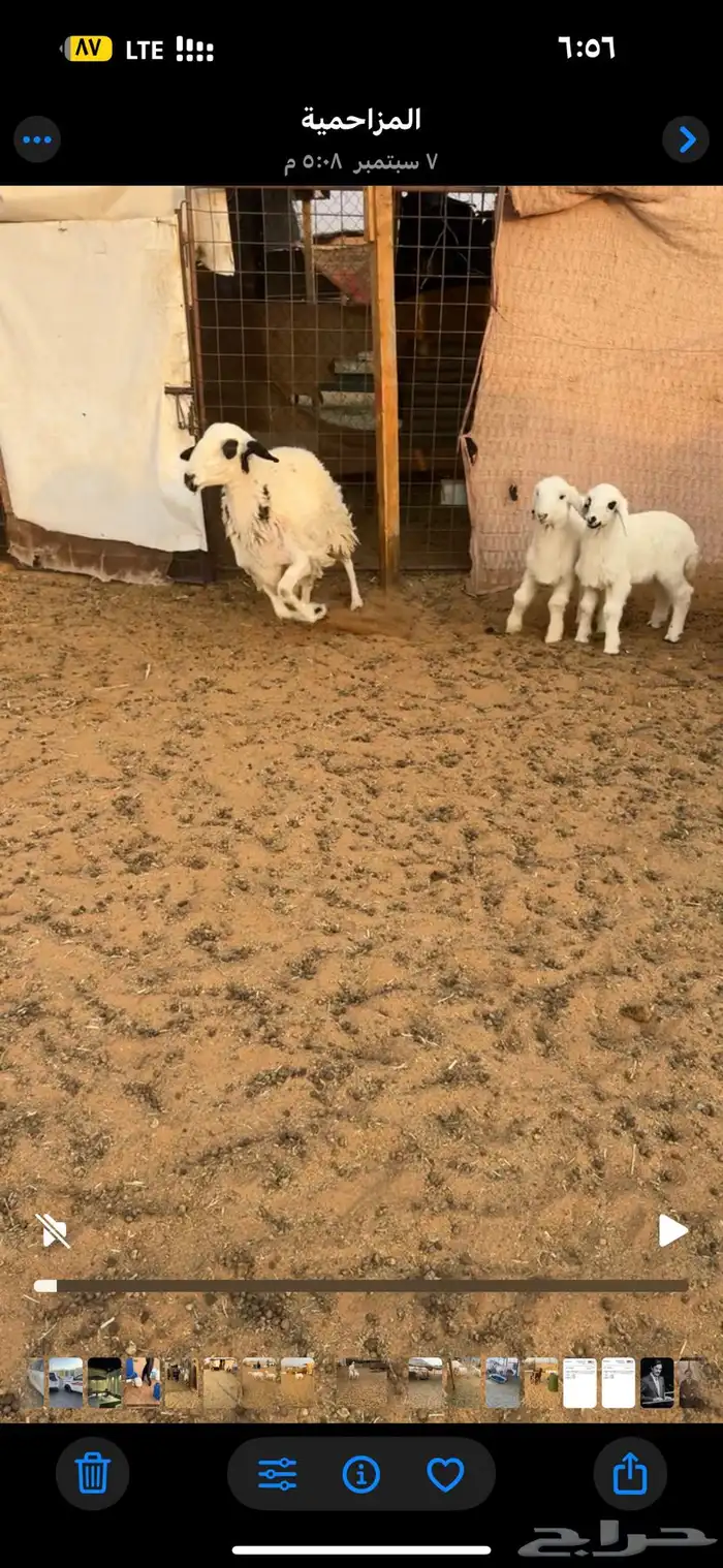 للبيع شاه رباع متاومه 0