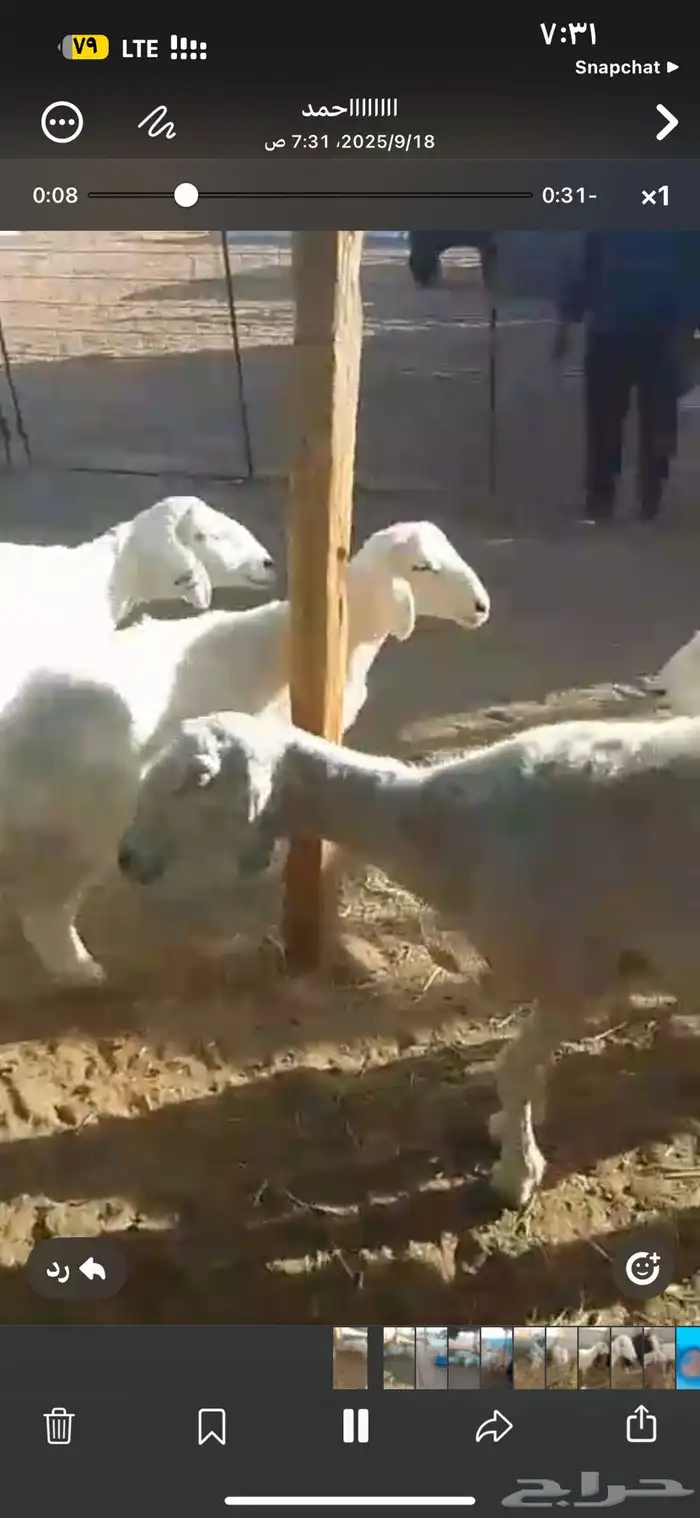 للبيع شاه رباع متاومه 2