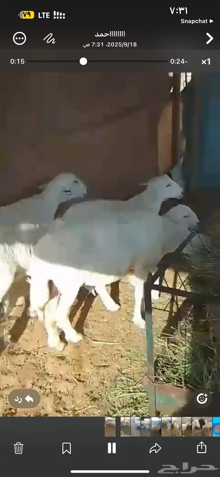 للبيع شاه رباع متاومه 4