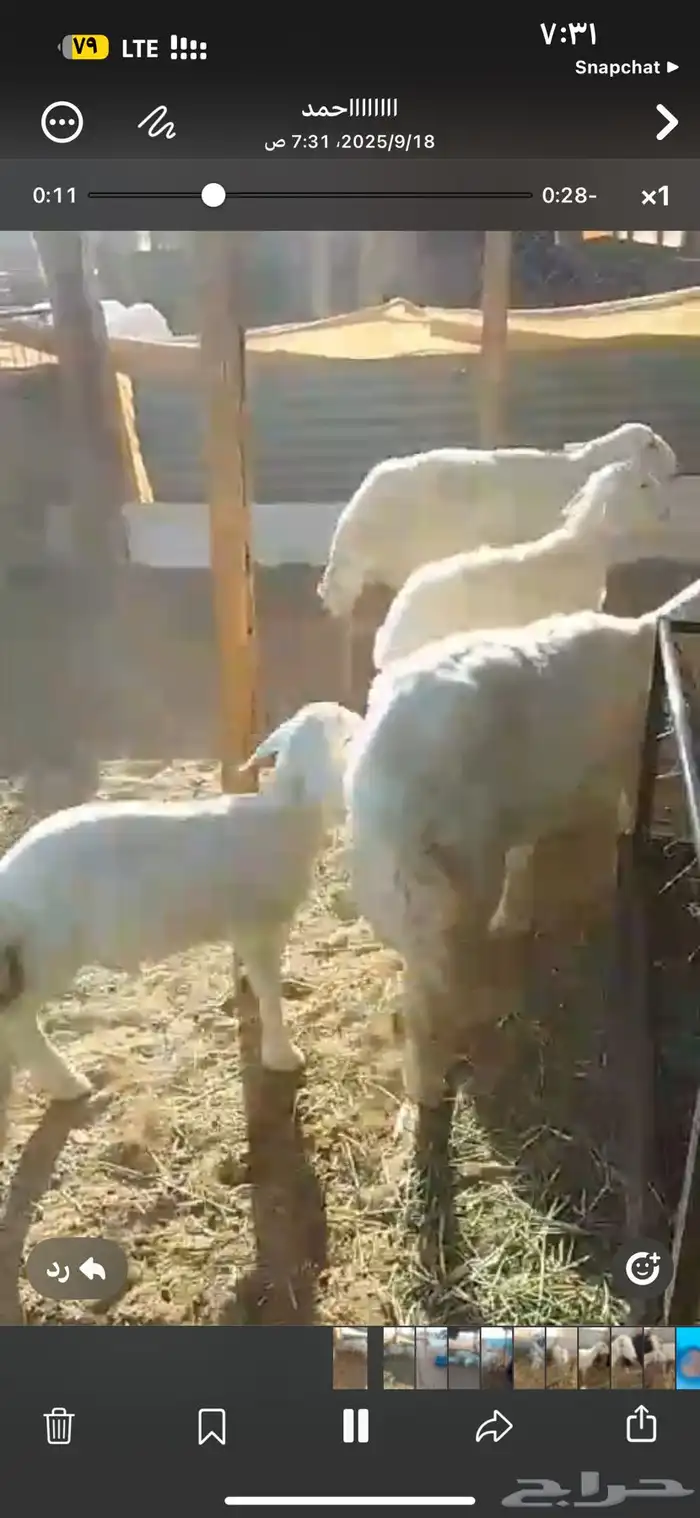 للبيع شاه رباع متاومه 3